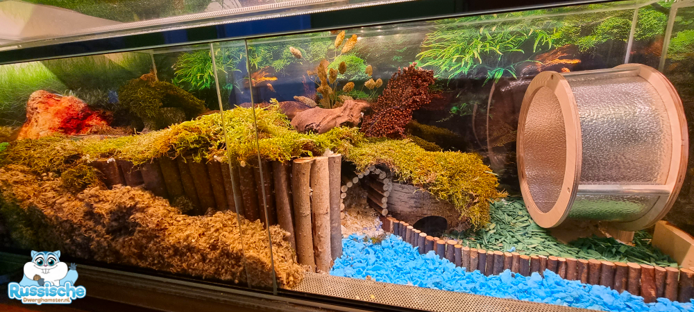 hamsterscaping scape