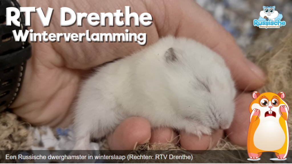 RTV Drenthe winterverlamming