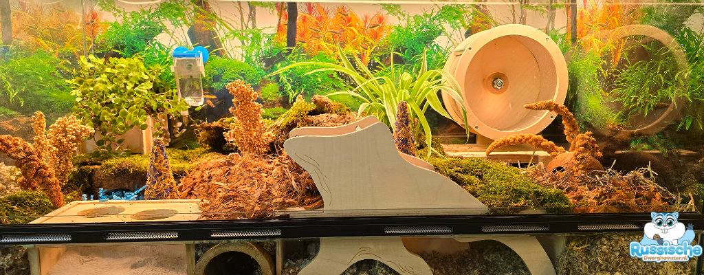 Hamsterscaping met foerageerlaag