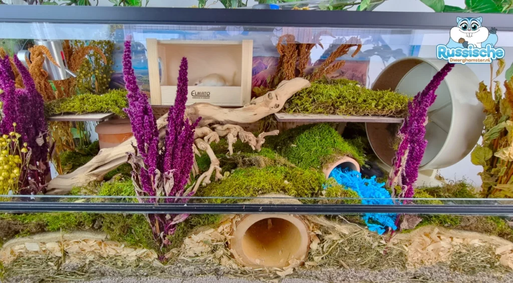 Gerbil huisvesting scape