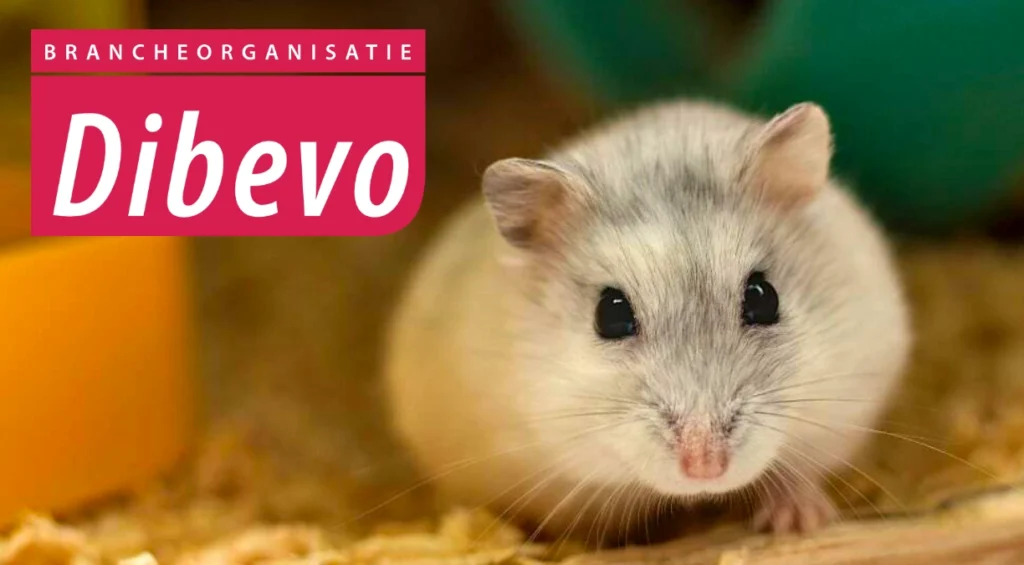 Positieflijst Dibevo