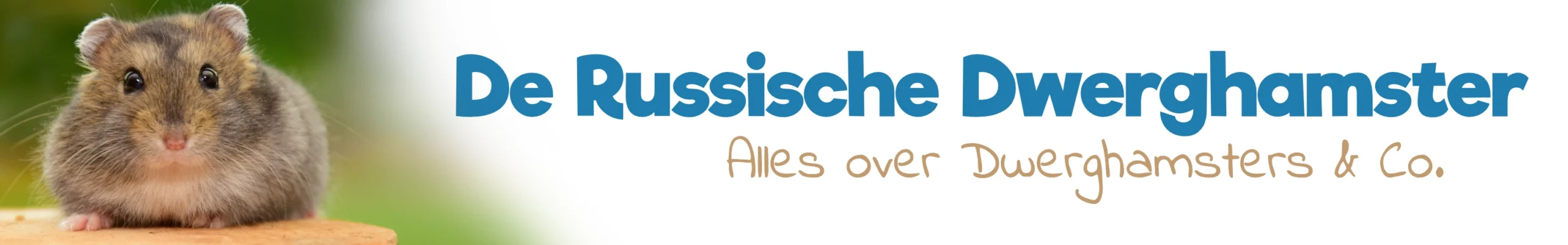 De Russische Dwerghamster