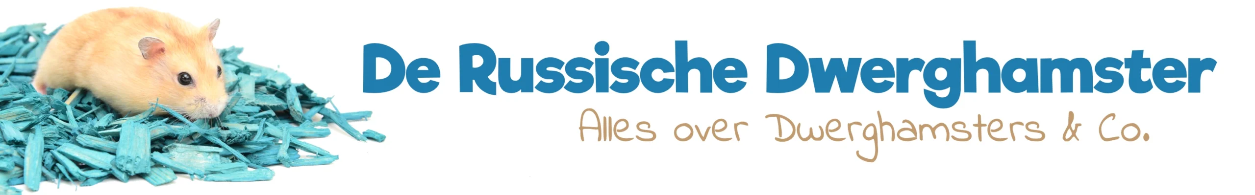 De Russische Dwerghamster