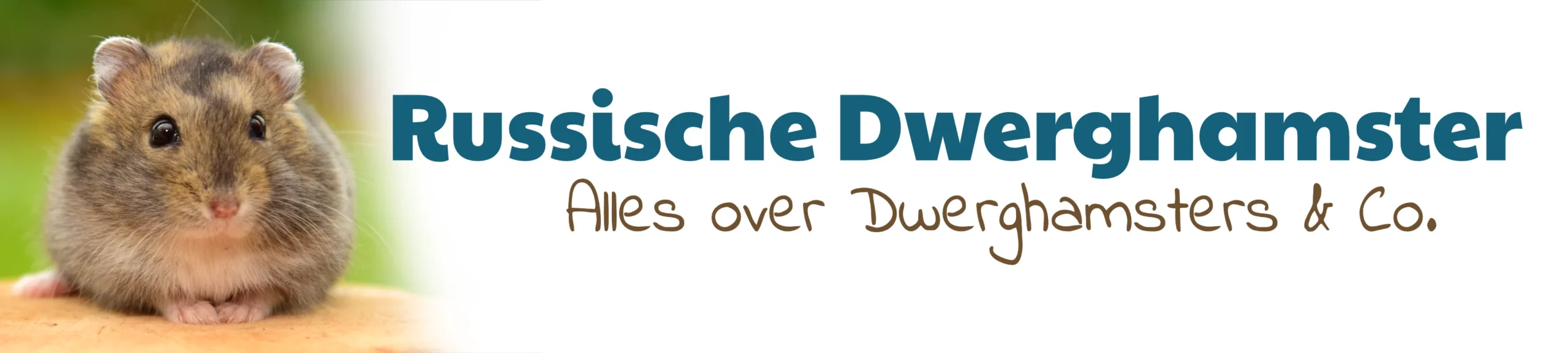 De Russische Dwerghamster